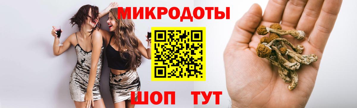 Псилоцибиновые грибы прущие грибы  Псилоцибиновые грибы мухоморы  что такое   Элиста  Вход с VPN 